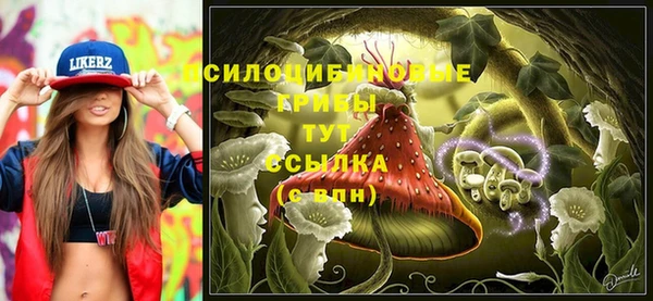 mix Алексин