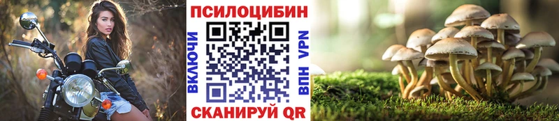 omg зеркало Оханск Псилоцибиновые грибы прущие грибы